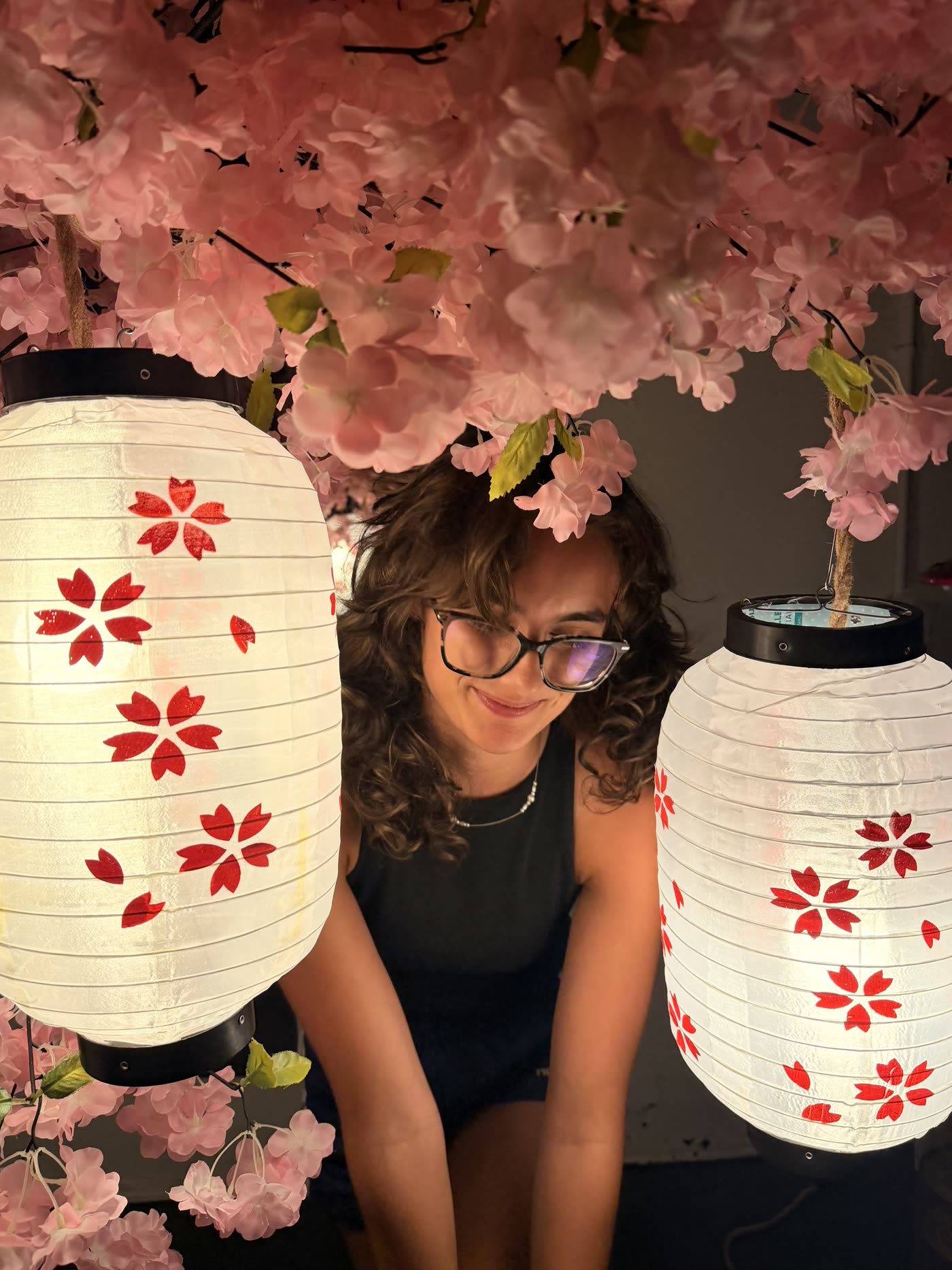Cherry blossom display with glowing paper lanterns inside Nine99