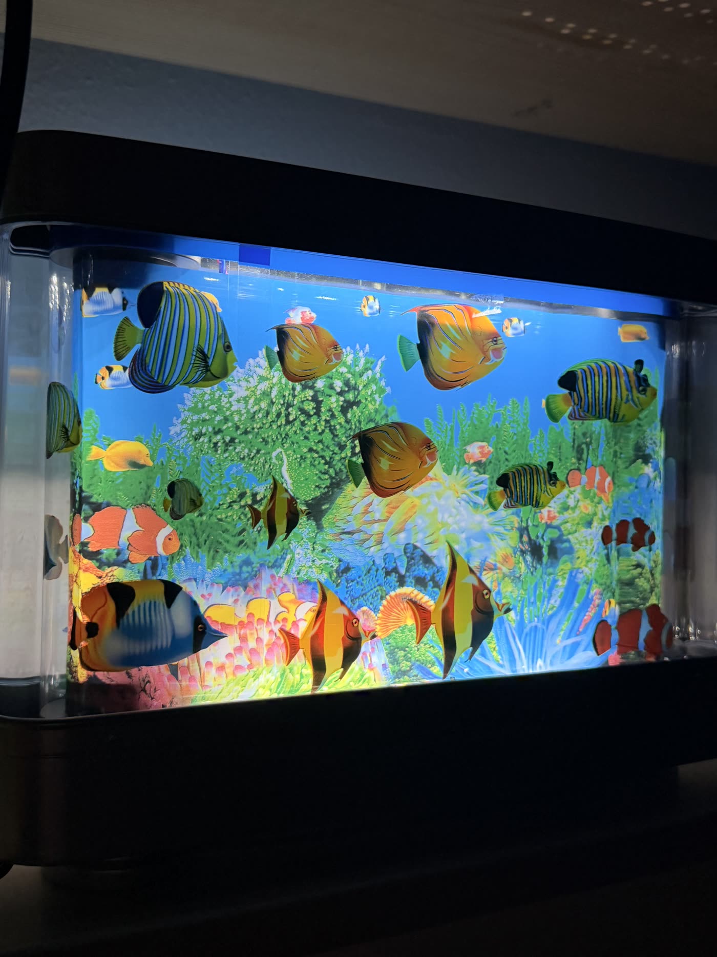 Colorful vintage aquarium lamp collectible at Nine99